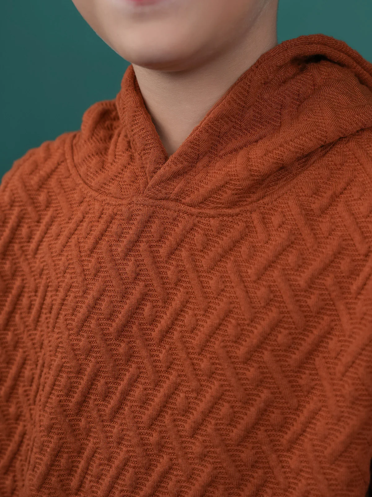 "AFRODITI" Textured Regular Fit Fleece Hoodie - Image 3